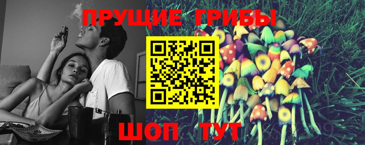 Сланцы  Галлюциногенные грибы ЛСД  Вход с VPN  Псилоцибиновые грибы Magic Shrooms 